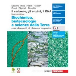 HOMO H@BILIS VOL.UNICO (DISEGNO+ SETTORI+ TUTOR +TECNOLAB +TAVOLE +EBOOK)