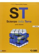 IL NUOVO SULLE TRACCE DI ERODOTO  VOLUME 1 CON CITTADINANZA E COSTITUZIONE 1