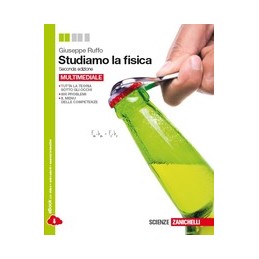 FORME E LINGUAGGI VOLUME A + EBOOK + PERCORSO NEI PROMESSI SPOSI + VOLUME B + EBOOK