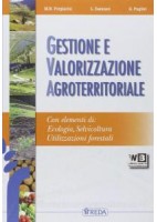 MEMORIA E IL FUTURO VOLUME 3  DALNOVECENTO AL MONDO ATTUALE PER SECONDO BN E 5 ANNO