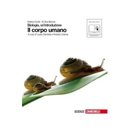 INFORMATICA APP  VOLUME  UNICO + CD ROM - 2° BIENNIO VOL. U