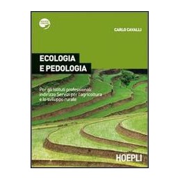 FILOSOFIA - LA RICERCA DELLA CONOSCENZA VOL. 3A + VOL.3B  + FILOSOFIA PER TUTTI 3